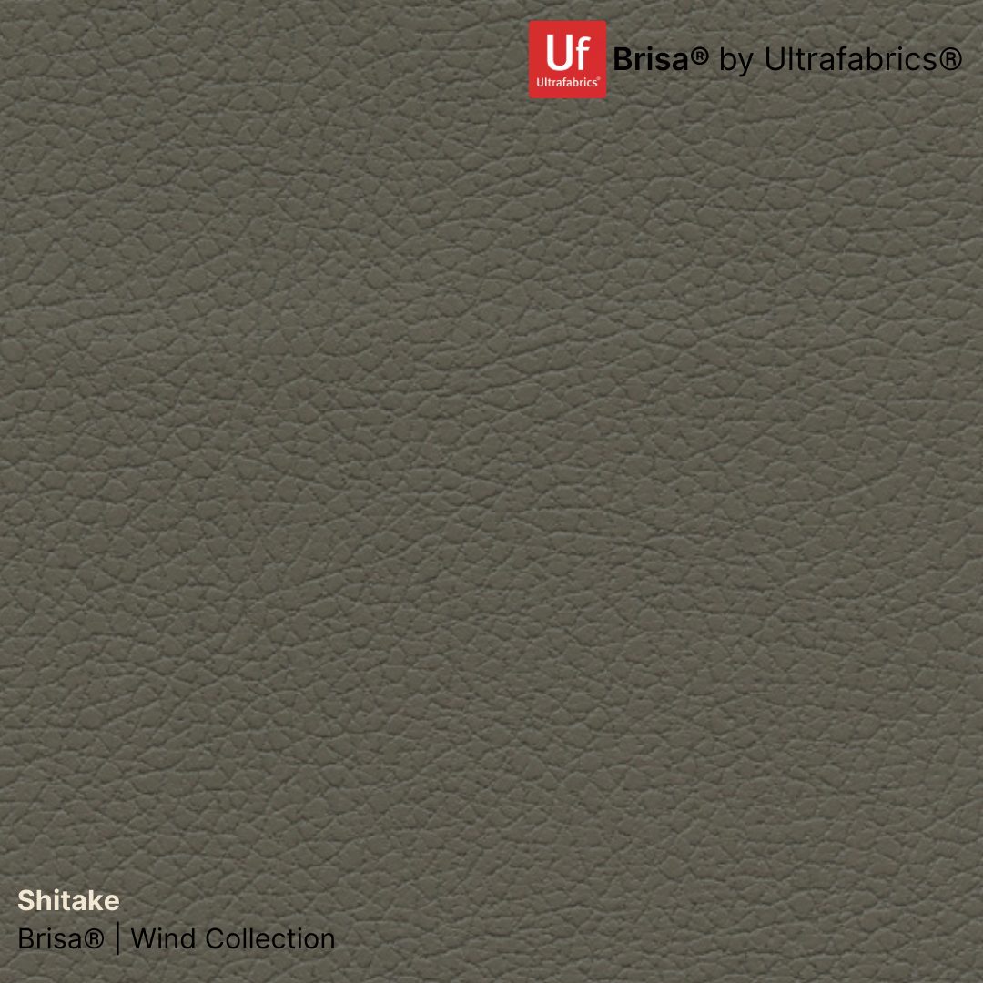 Brisa® Fabric for Golden Technologies Lift Recliner, upgrade